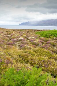 islande 22-08-2018, IMG_3210-2