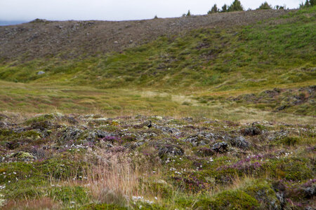 islande 22-08-2018, IMG_3259-2