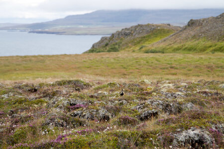 islande 22-08-2018, IMG_3260-2