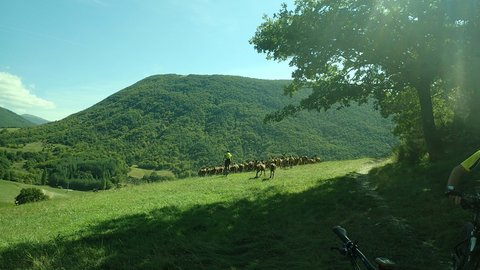 Dieulefitvtt, P9150425