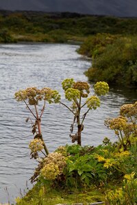islande 24-08-2018, IMG_3478-2