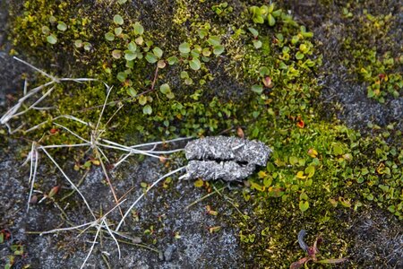 islande 26-08-2018, IMG_3624-2