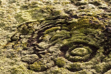 islande 27-08-2018, IMG_3657-2