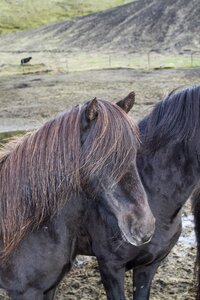 islande 28-08-2018, IMG_3688-2