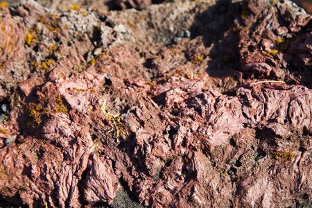 islande 29-08-2018, IMG_3925-2