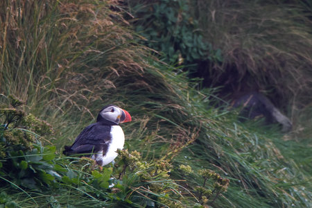 islande 31-08-2018, IMG_4295-2
