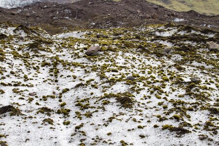 islande 30-08-2018, IMG_4174-2
