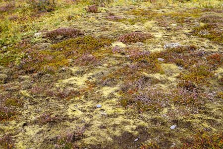 islande 30-08-2018, IMG_4221-2
