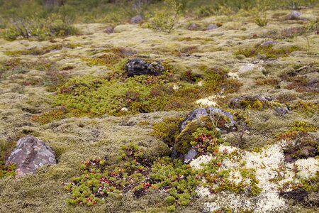 islande 30-08-2018, IMG_4223-2