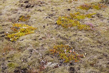 islande 30-08-2018, IMG_4224-2