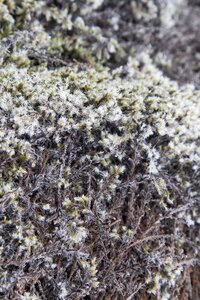 islande 30-08-2018, IMG_4241-2
