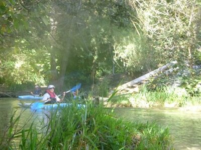 La Sorgue_22sept2018, Sorgue_22sept2018_0006