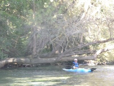 La Sorgue_22sept2018, Sorgue_22sept2018_0025