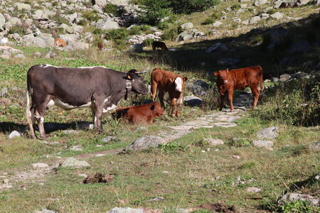 20180827-0914 GR5-53 modane menton, IMG_0310 glas peirastreche