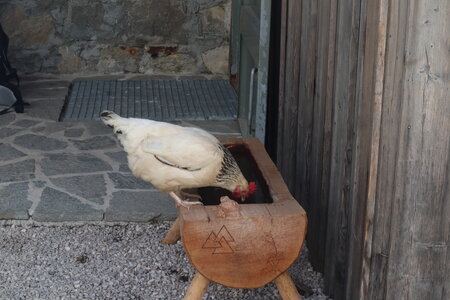20180827-0914 GR5-53 modane menton, IMG_0341 refuge de nice