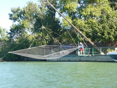 camargues_23sept2018, Nautisme_juin2018_0007