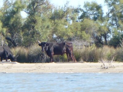 camargues_23sept2018, Nautisme_juin2018_0016