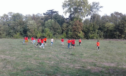 s12_Dans_les_bois_1, 20180918_105632