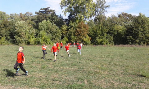 s12_Dans_les_bois_1, 20180918_105736