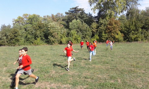 s12_Dans_les_bois_1, 20180918_105738