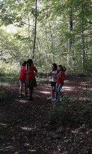 s12_Dans_les_bois_1, 20180918_151313