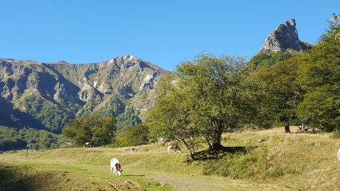 Vallée de Chaudefour, 20180928_103619