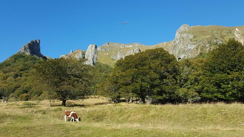 Vallée de Chaudefour, 20180928_104057