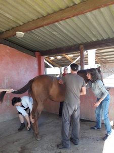 les femmes et les hommes qui murmuraient  aux oreilles des chevaux, 20180923_104424