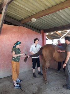 les femmes et les hommes qui murmuraient  aux oreilles des chevaux, 20180923_104428