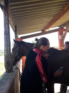 les femmes et les hommes qui murmuraient  aux oreilles des chevaux, 20180923_104454
