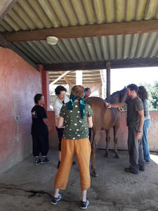 les femmes et les hommes qui murmuraient  aux oreilles des chevaux, 20180923_104511