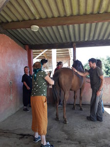 les femmes et les hommes qui murmuraient  aux oreilles des chevaux, 20180923_104513