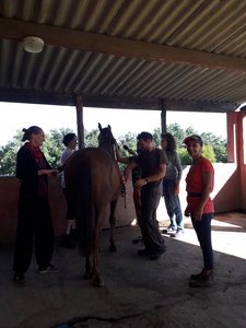 les femmes et les hommes qui murmuraient  aux oreilles des chevaux, 20180923_104543