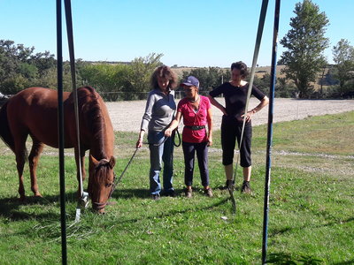 les femmes et les hommes qui murmuraient  aux oreilles des chevaux, 20180923_113259