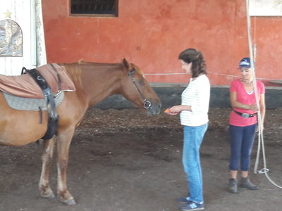 les femmes et les hommes qui murmuraient  aux oreilles des chevaux, 20180923_163415