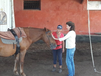les femmes et les hommes qui murmuraient  aux oreilles des chevaux, 20180923_163424