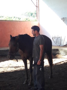 les femmes et les hommes qui murmuraient  aux oreilles des chevaux, 20180923_105152