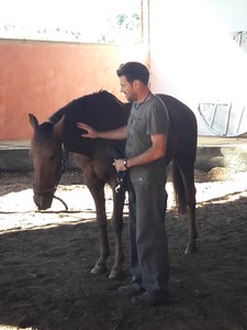 les femmes et les hommes qui murmuraient  aux oreilles des chevaux, 20180923_105203