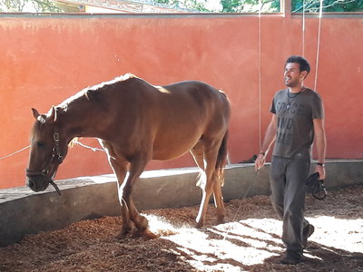 les femmes et les hommes qui murmuraient  aux oreilles des chevaux, 20180923_105242