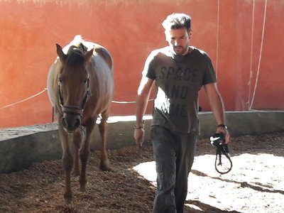 les femmes et les hommes qui murmuraient  aux oreilles des chevaux, 20180923_105302