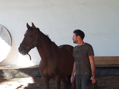 les femmes et les hommes qui murmuraient  aux oreilles des chevaux, 20180923_105544