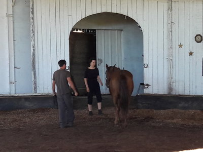 les femmes et les hommes qui murmuraient  aux oreilles des chevaux, 20180923_105822