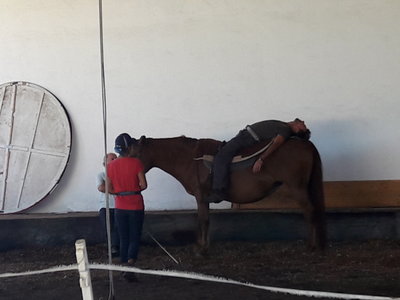 les femmes et les hommes qui murmuraient  aux oreilles des chevaux, 20180923_160711