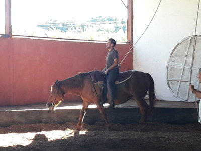 les femmes et les hommes qui murmuraient  aux oreilles des chevaux, 20180923_161059