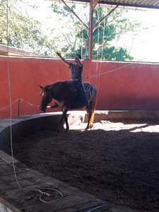 les femmes et les hommes qui murmuraient  aux oreilles des chevaux, 20180923_161225