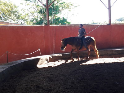 les femmes et les hommes qui murmuraient  aux oreilles des chevaux, 20180923_161339