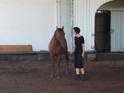 les femmes et les hommes qui murmuraient  aux oreilles des chevaux, 20180923_105841