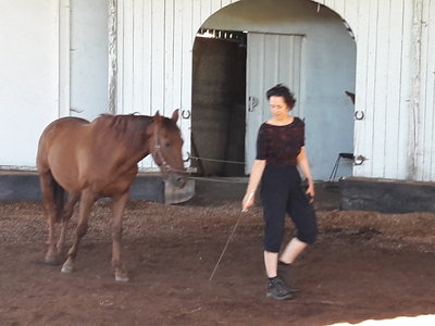 les femmes et les hommes qui murmuraient  aux oreilles des chevaux, 20180923_105844