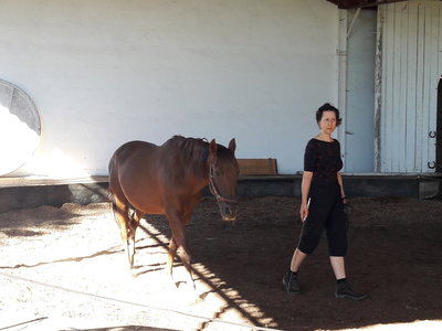les femmes et les hommes qui murmuraient  aux oreilles des chevaux, 20180923_105906
