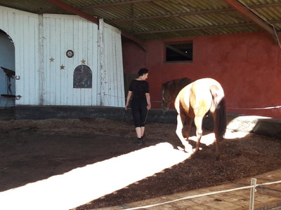 les femmes et les hommes qui murmuraient  aux oreilles des chevaux, 20180923_105932
